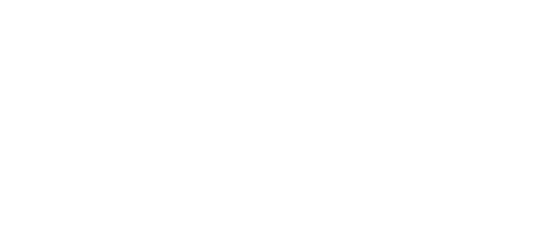 Sriwijaya Logo